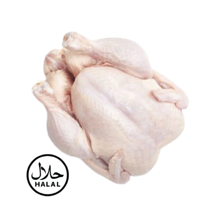 Fresh Halal Whole Chicken